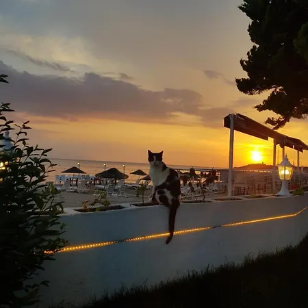 Sevilla * Kusadasi